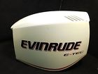 0285631 285631 Evinrude Top Cowling