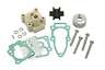 18-48317 Sierra Water Pump Kit Complete Evinrude Nissan Tohatsu Hp