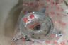 336-01401-0 336014010 Tohatsu New Genuine Oem Magneto Base