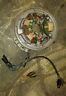 581559 582040 Omc Johnson Evinrude Armature Plate