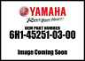 6h1-45251-03-00 Yamaha Anode New Oem 782708203159