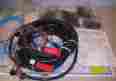 84-81662ca2 Quicksilver Mercury Ignition Choke Switch Assembly With Horn W