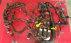 892926t03 Mercury Optimax Wiring Harness