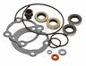95-363-11k Sterndrive Johnson Evinrude Hp Gearcase Seal Kit Lower Unit Rep