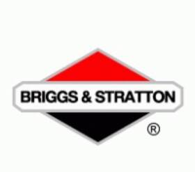 303447-1147-a1 Briggs And Stratton 303477 16hp Vanga Engine