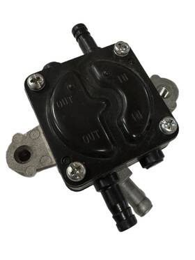 844527 Briggs & Stratton And Fuel Pump