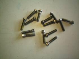324960 Brp Evinrude/johnson Evinrude/johnson/omc Quantity Fourteen Of #324960 Screws Free Freight