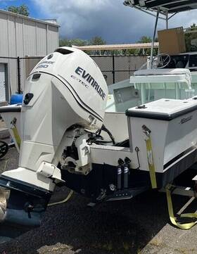 E250dpxiid E-tech 2011 Evenrude 250 Hp Outboard