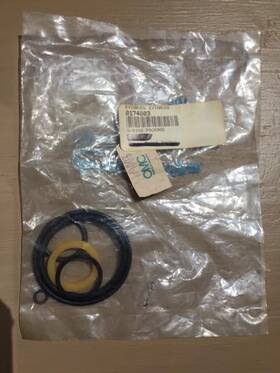 0174003 Evinrude Johnson Prestolite O-ring Package