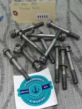0353559 Evinrude 2007 E-tec Injector Bolts Qty 12 Pn 353559
