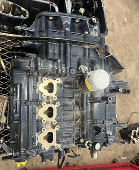 5031301 Evinrude 50 Hp 4-stroke Engine Longblock Freshwater