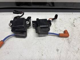 587275 Evinrude 2016 25 Hp E-tec Outboard Set Of Ignition Coils Lot Ta7
