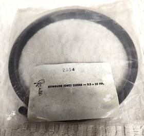 318944 Evinrude/johnson Johnson/evinrude Recoil Rewind Spring