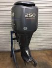 F250txrd Yamaha 250hp Four Stroke