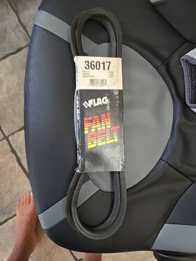 17361 Flag 36017 Fan Belt Dayco 17360 Gate 9360 Goodyear Automotive B6