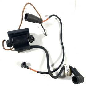 0581998 Johnson Evinrude Oem 4 6 8 9.9 15 Outboard Ignition Coil