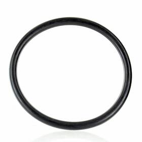 0769564 Johnson Evinrude Omc 3856537 Oem Thermostat O-ring 3.0l 1997-1998