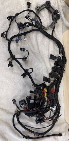 8m0053629 Mercury Oem 2014 250hp Pro Xs Dfi Optimax Wire Harness Pn#