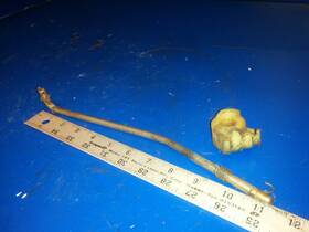 Rod-37461 Mercury Rod 37461 650 65hp
