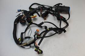 586972 Omc Evinrude Oem Etec 2008-2010 Engine Wiring Harness 40 50 60 65 Hp