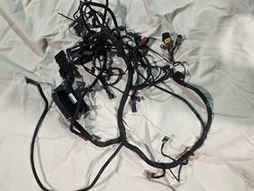 Ra121107a Pcm R116024/ra121107a Nautique Pleasurecraft Marine Engine Harness Assembly With Ecu R116024
