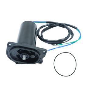 20250916t01 Soarider Tilt Trim Motor