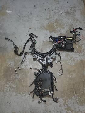 6br-82590-00-00 Yamaha Wire Harness Assy Outboard 2008-2010 F250 Freshwater Wty