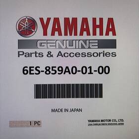 6es-859a0-01-00 Yamaha Speed Control Unit