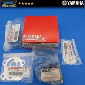 6h3-44352-00-00 Yamaha 6h3-w0078-0a Oem Chrome Pump Rebuild Kit With Impeller