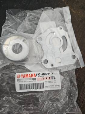6h3w00781a00 Yamaha Water Pump Chrome Kit