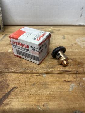6h7-12411-01 Yamaha Oem Cylinder Thermostat