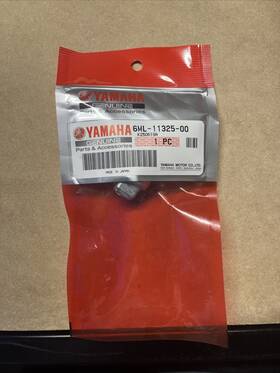 6ml-11325-00-00 Yamaha 6ml-11325-00 Cylinder Head Anode