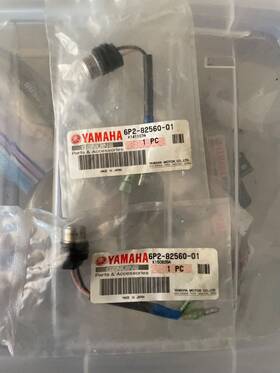 6p2-82560-01-00 Yamaha Thermo Switch