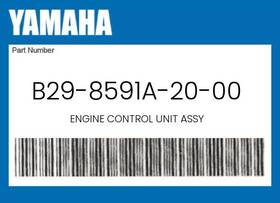 B29-8591a-20-00 Yamaha Genuine Engine Control Unit Assy -