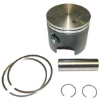 Wsm Piston Kit For Johnson/evinrude 120-300 Hp Looper 85-87 Starboard .030 Over. Fixed Price $86.96.