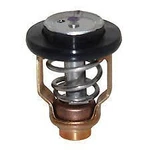 Yamaha Oem Thermosat Assembly 300-350 6AW-12411-00-00. Fixed Price $39.99.