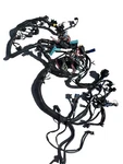 Mercury V-6 Outboard Wiring Harness 8M0065648 (8M0066092) Verado. Fixed Price $200.00.