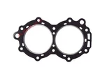 For Omc Johnson Evinrude Outboard 40 Hp Head Gasket 307069 777447 35990 18-2957. Fixed Price $34.32.