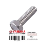 Qty 3 Yamaha Oem Nos Flange Bolt 97080-06020. Fixed Price $24.99.