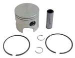 Piston Kit Johnson Evinrude 120 300 Hp 85-87 Looper Port .020 Over. Fixed Price $210.49.