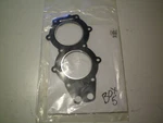 Evinrude/johnson/omc #315539 Head Gasket, Free Freight. Fixed Price $24.95.