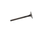 Suzuki Valve,exhaust 12915-86F51 Oem New. Fixed Price $40.14.
