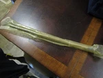 Mercury Oem Shaft New 45-76088A2. Fixed Price $199.99.