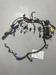 6C5-82590-D1-00 Yamaha Wire Harness Assy 6C582590D100, Used Genuine Oem Part. Fixed Price $399.00.