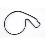Wsm Water Pump Housing O-ring 4-TEC 008-599-12. Fixed Price $13.45.