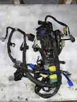 Yamaha Outboard Oem Wire Harness Assy 6D8-82590-30-00. Fixed Price $350.00.
