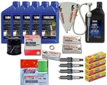 Yamaha F150XA F150XB Oil Change Gear Lube Gasket Spark Plugs Maintenance Kit. Fixed Price $201.95.