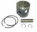 Mercury 765-7441A3 Genuine Oem V150 Outboard Starboard Piston Kit Sierra 18-3921. Fixed Price $99.95.