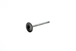 Wsm Intake Valve For Sea-doo 900 14-23 010-017. Fixed Price $25.86.