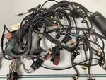 6 Month Warranty Oem 0587010 Etec Evinrude Wiring Harness. Fixed Price $86.10.